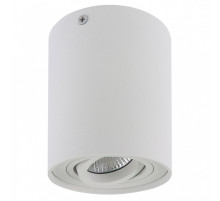 Накладной светильник Lightstar Binoco 052016