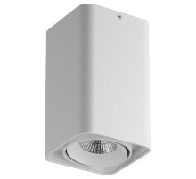 Накладной светильник Lightstar Monocco 52136