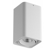 Накладной светильник Lightstar Monocco 052136-IP65