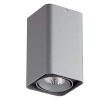 Накладной светильник Lightstar Monocco 052139-IP65