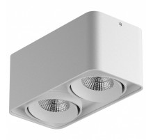 Накладной светильник Lightstar Monocco 212526