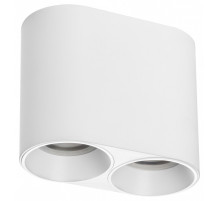 Накладной светильник Lightstar Rullo 213466