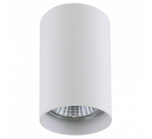 Накладной светильник Lightstar Rullo 214436