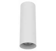 Накладной светильник Lightstar Rullo 216496