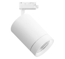 Светильник на штанге Lightstar Canno 303264