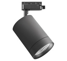 Светильник на штанге Lightstar Canno 303272