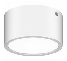 Накладной светильник Lightstar Zolla 380164