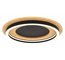 Накладной светильник Lightstar Lodi 723017