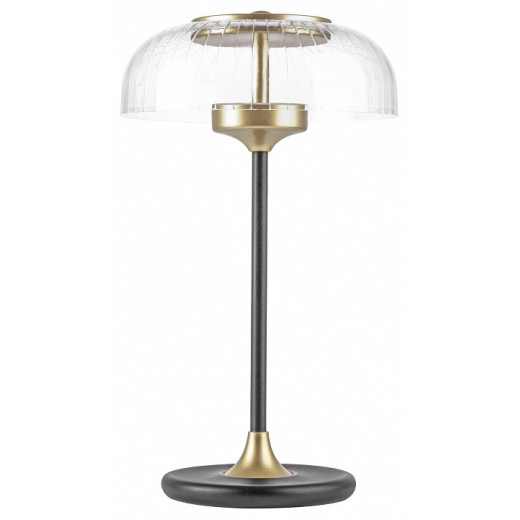 Настольная лампа декоративная Lightstar Acrile 738973