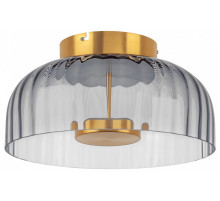 Накладной светильник Lightstar Celesta 809061