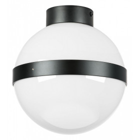 Накладной светильник Lightstar Globo 812117