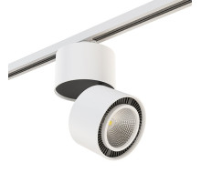 Накладной светильник Lightstar Forte Muro A1T213830