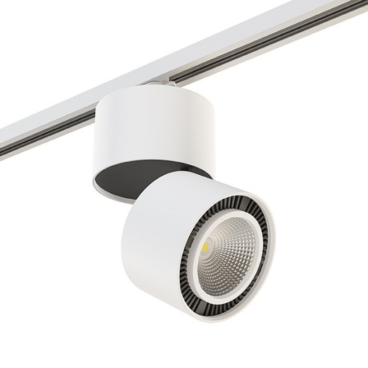 Накладной светильник Lightstar Forte Muro A1T214816