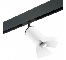 Светильник на штанге Lightstar Rullo PRO436436