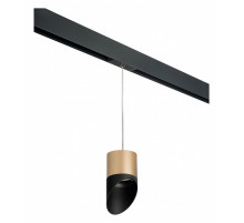 Подвесной светильник Lightstar Rullo PRORP349087