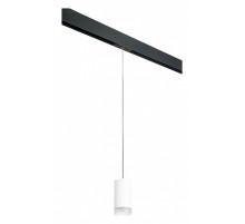 Подвесной светильник Lightstar Rullo PRORP43630