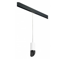 Подвесной светильник Lightstar Rullo PRORP43637