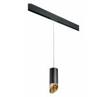 Подвесной светильник Lightstar Rullo PRORP6487190