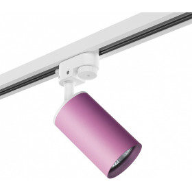 Светильник на штанге Lightstar Rullo R1T432