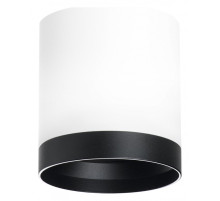 Накладной светильник Lightstar Rullo R34863487