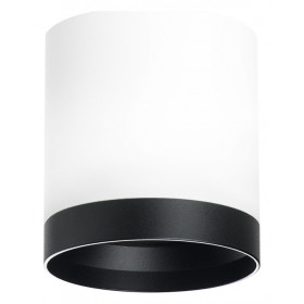 Накладной светильник Lightstar Rullo R34863487