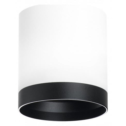 Накладной светильник Lightstar Rullo R34863487