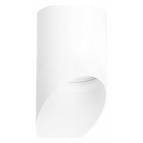 Накладной светильник Lightstar Rullo R348686