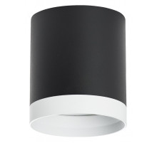 Накладной светильник Lightstar Rullo R34873486