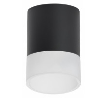 Накладной светильник Lightstar Rullo R348781