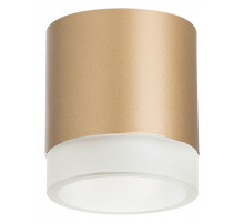 Накладной светильник Lightstar Rullo R349080