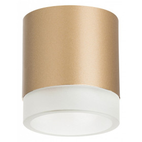 Накладной светильник Lightstar Rullo R349080
