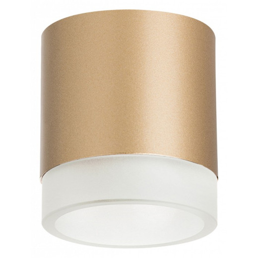 Накладной светильник Lightstar Rullo R349080