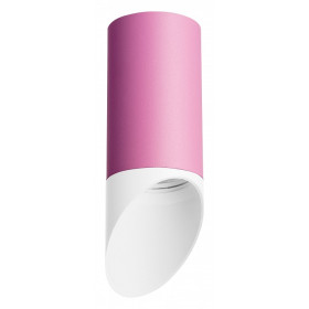 Накладной светильник Lightstar Rullo R43236