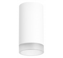 Накладной светильник Lightstar Rullo R4363437