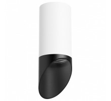 Накладной светильник Lightstar Rullo R43637