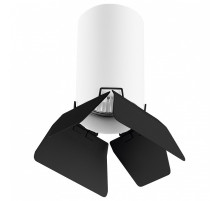 Накладной светильник Lightstar Rullo R436437