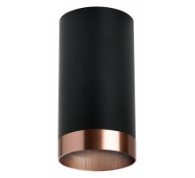 Накладной светильник Lightstar Rullo R437430