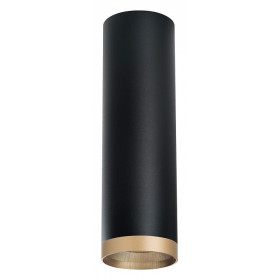 Накладной светильник Lightstar Rullo R6497490