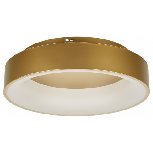 Накладной светильник MyFar Shannon MR2195-1PL