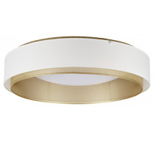 Накладной светильник MyFar Anders MR2371-1CL