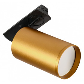 Светильник на штанге MyFar Technical MT0120-GU10-BS