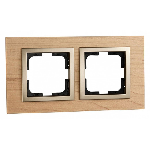 Рамка на 2 поста Mono Electric Style 107-520000-161