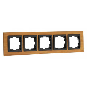 Рамка на 5 постов Mono Electric Style 107-530000-164