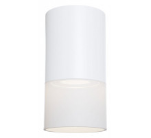 Накладной светильник Maytoni Pauline C007CW-01W