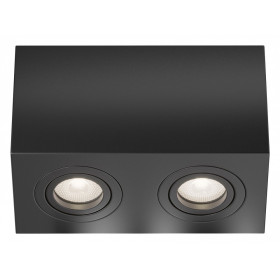 Накладной светильник Maytoni Atom C017CL-02B