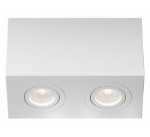 Накладной светильник Maytoni Atom C017CL-02W