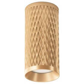 Накладной светильник Maytoni Focus Design C036CL-01G