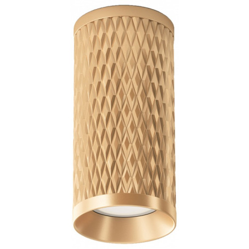 Накладной светильник Maytoni Focus Design C036CL-01G