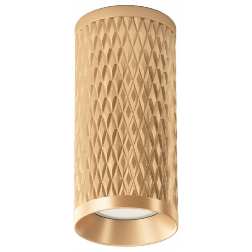 Накладной светильник Maytoni Focus Design C036CL-01G