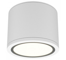 Накладной светильник Maytoni Rendo C095CL-GX53-W